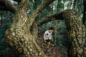 BIB: 
                            <button type="button" onclick="openModal(25393122)" class="btn btn-primary btn-sm float-right btn-popup" data-toggle="modal" data-target=".modal-high-quality">
                        <i class="fas fa-shopping-cart"></i> Add to Cart
                    </button>
                                            <button type="button" onclick="isThisMe(25393122, true)" class="btn btn-success btn-sm float-right btn-popup btn-isme hidden" data-toggle="tooltip" data-placement="bottom" title="นี่คือรูปของคุณใช่ไหม คลิกที่นี่เพื่อเอาเข้าอัลบั้ม">
                        <i class="fas fa-plus"></i> Add to album
                    </button>
                    <button type="button" onclick="isThisMe(25393122, false)" class="btn btn-warning btn-sm float-right btn-popup btn-isnotme hidden">
                        <i class="fas fa-ban"></i> Remove from album
                    </button>